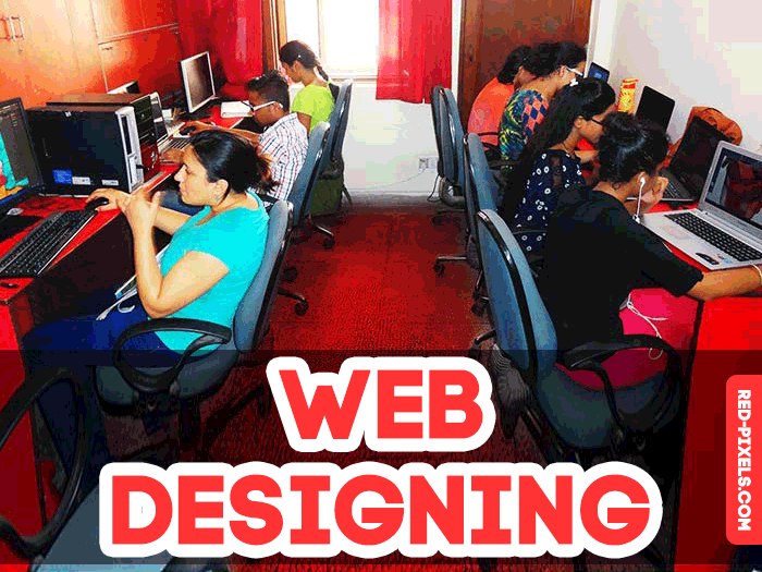 web design training institute in delhi